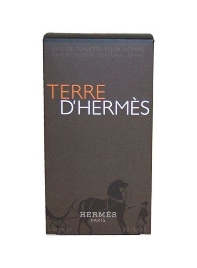 Terre D' Hermes EDT 100ml