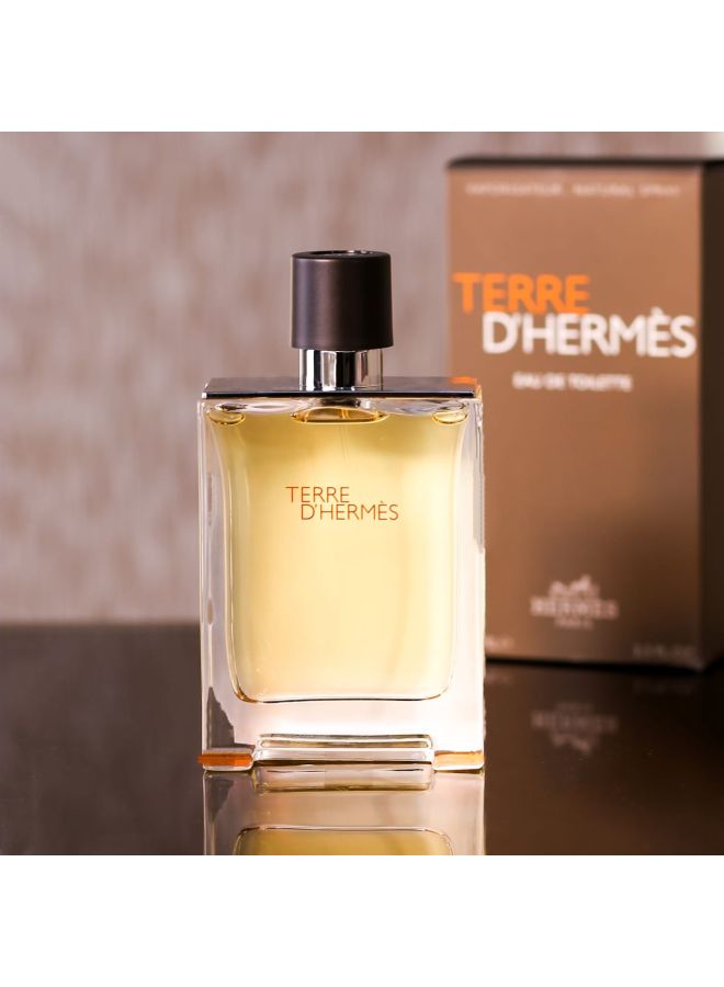 Terre D' Hermes EDT 100ml