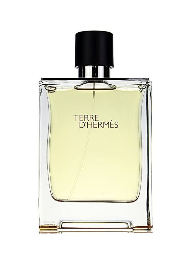 Terre D'Hermes EDT 100ml