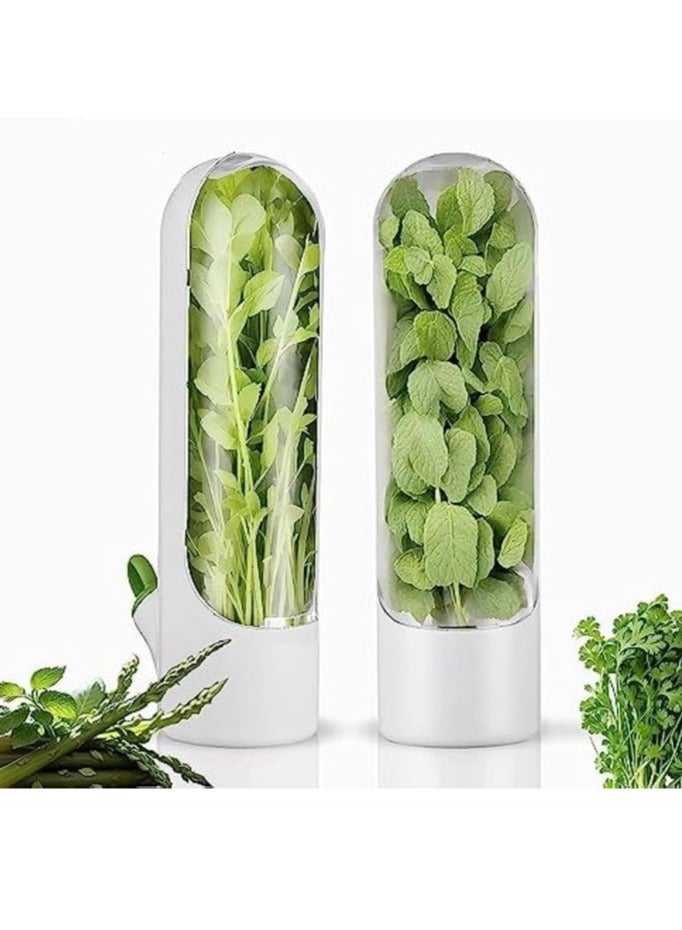 Herb Keeper Kitchen Storage Container To Keep Your Vegetables Fresh In Refrigerator Savor Pod For Cilantro Mint Parsley Asparagus 2 packs