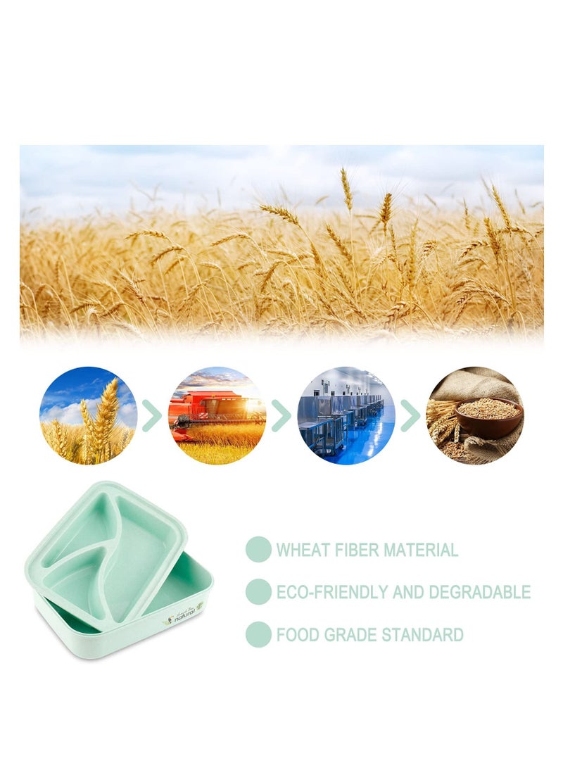Bento Lunch Box for Adults Leakproof Boxes 1100ML with Utensils Wheat Straw - Meal Prep Containers Portion Control Microwave & Dishwasher Safe BPA Free (Green