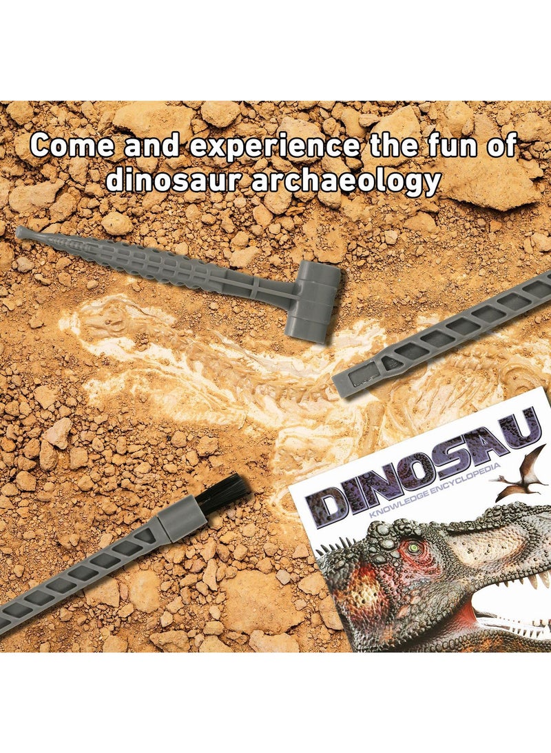 Archaeological Excavation To Explore Dinosaur Skeleton DIY Assembled Model Toys
