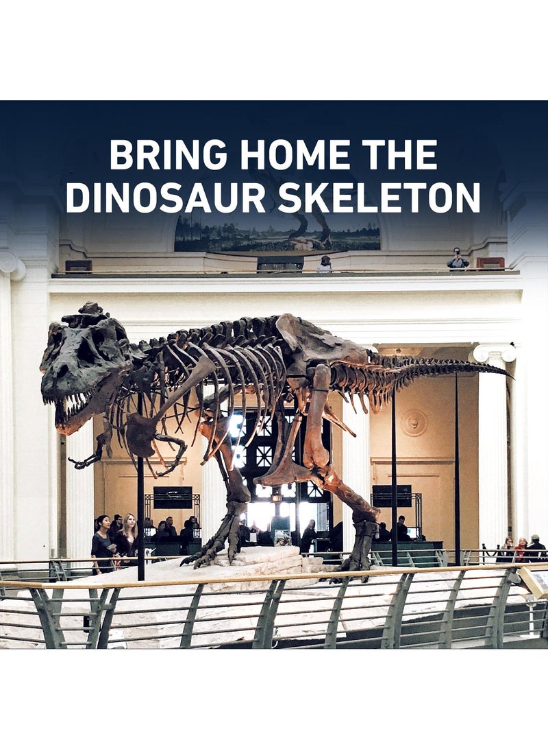 Archaeological Excavation To Explore Dinosaur Skeleton DIY Assembled Model Toys