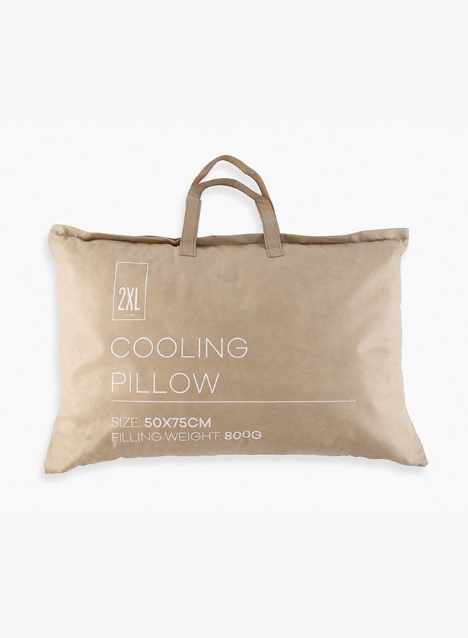 Cooling Pillow