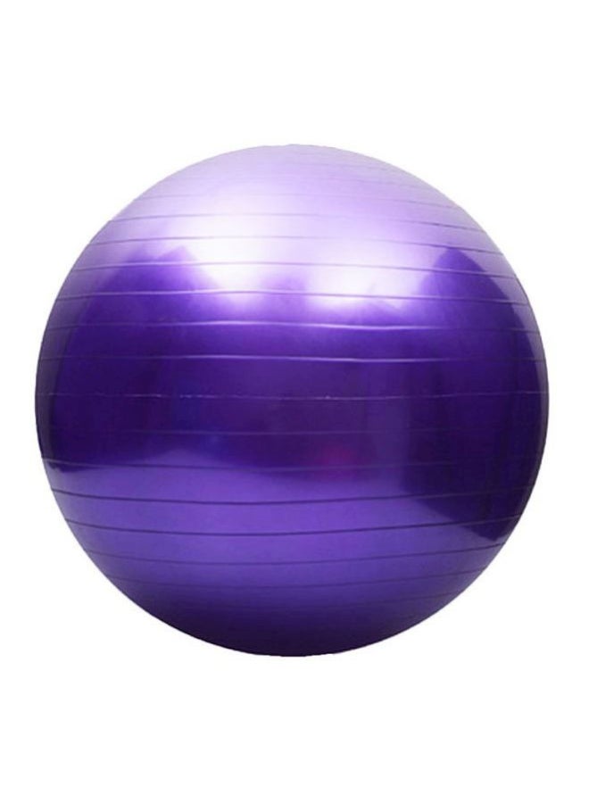 Sport Fitness Gym Ball 55cm
