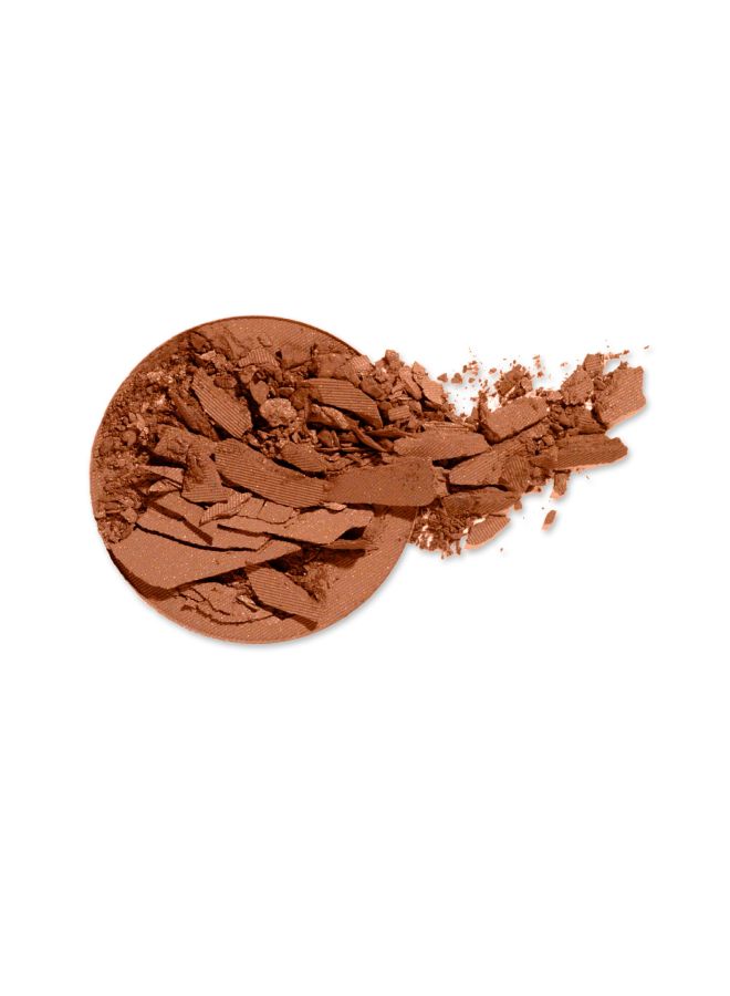 Artisan Color Baked Blush Toasted Almond