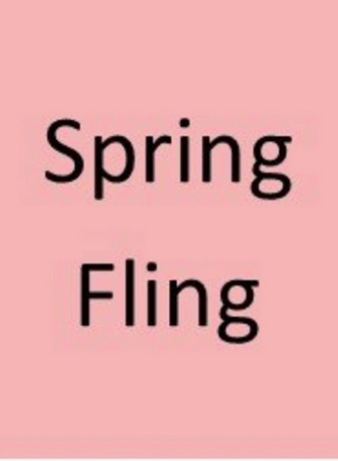 Airbrush Makeup Liquid Foundation Spring Fling