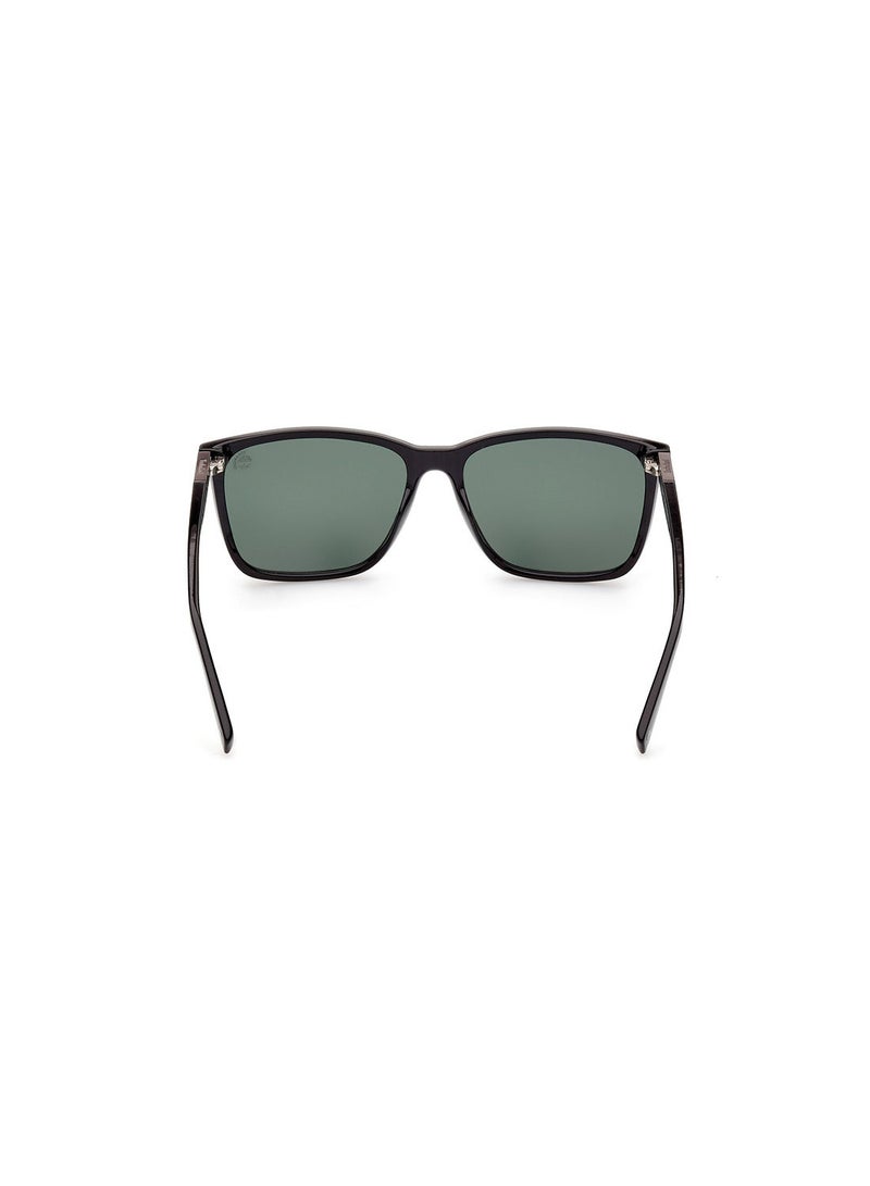 Navigator Sunglasses TB9280-H01R59