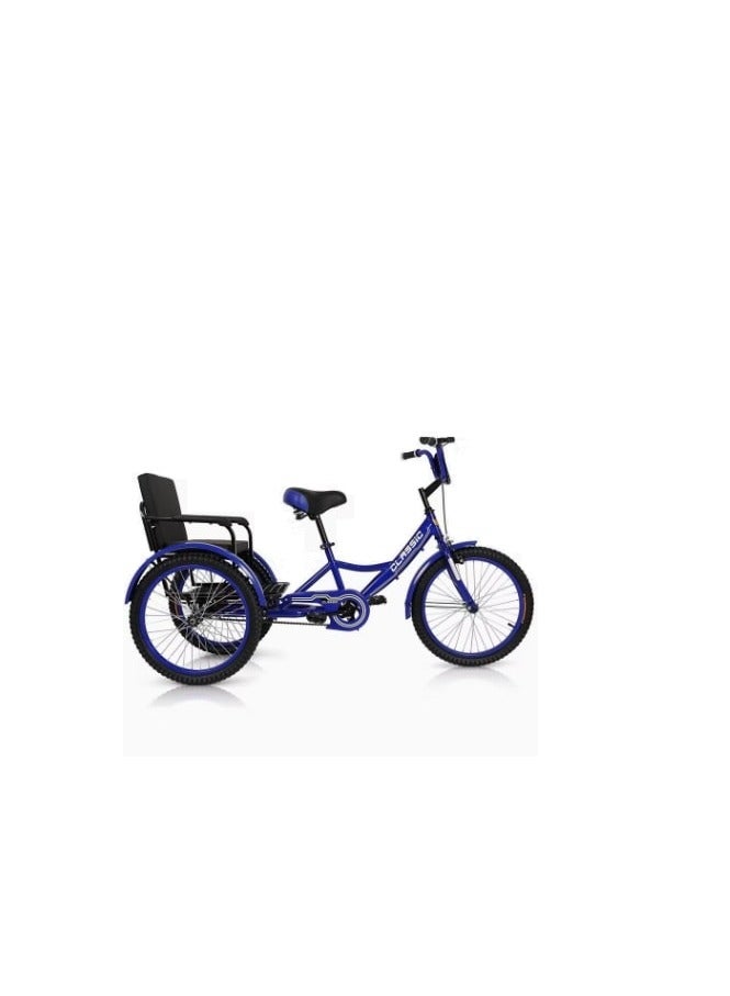 Classic Tricycle 20 Back Seat - Blue