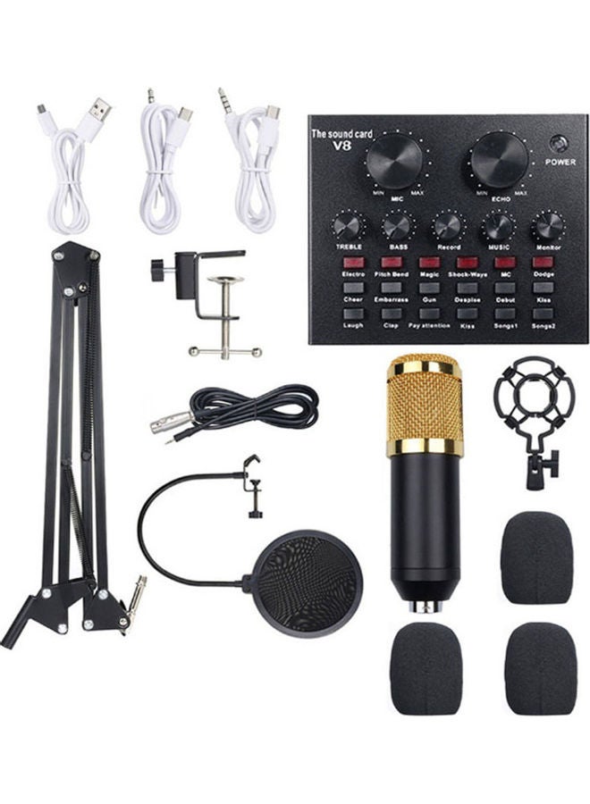 13-Piece Multi-Functional Live Sound Card Studio Broadcasting Recording Microphone Set ANY0065 Multicolour