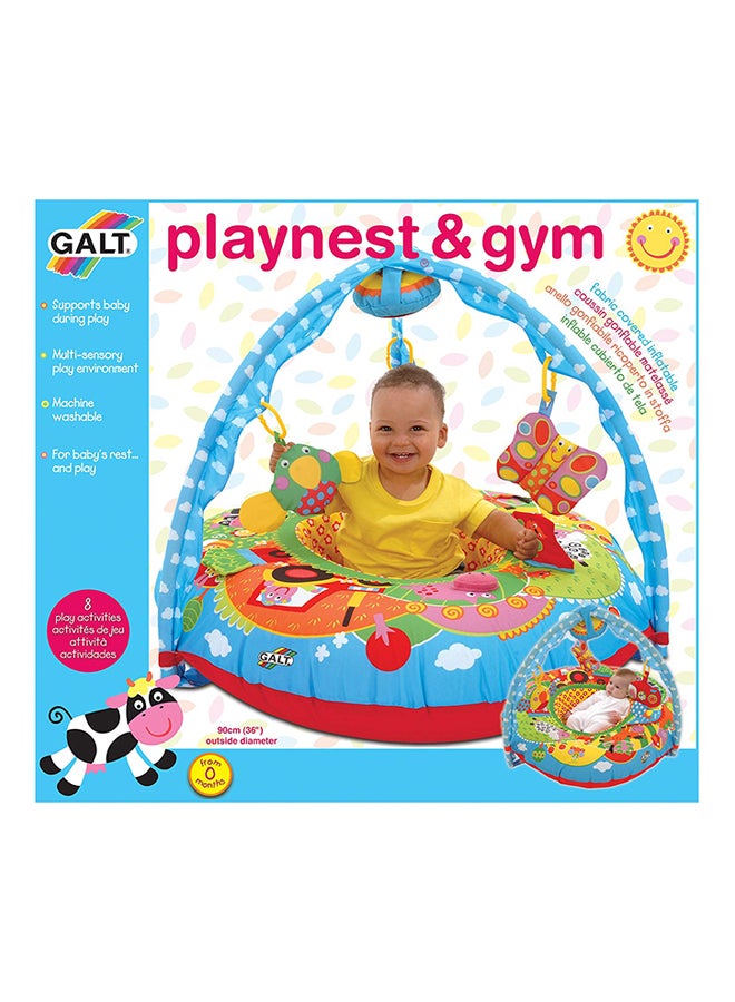 Playnest And Gym Toys 1004060