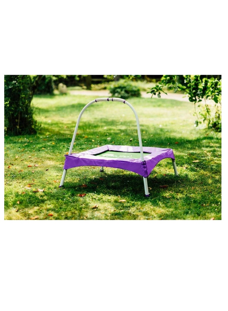 Junior Bouncer - Purple/green