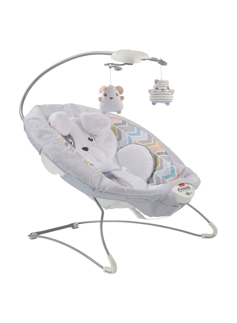 Sweet Snugapuppy Deluxe Bouncer GWD50