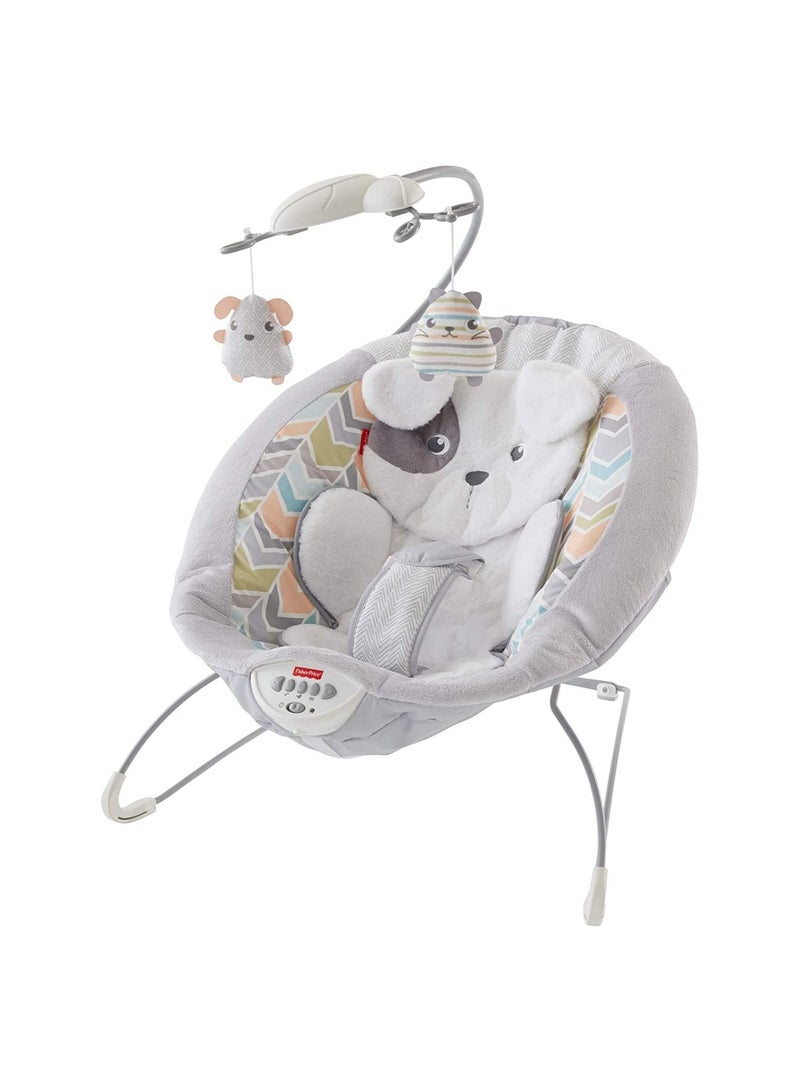 Sweet Snugapuppy Deluxe Bouncer GWD50