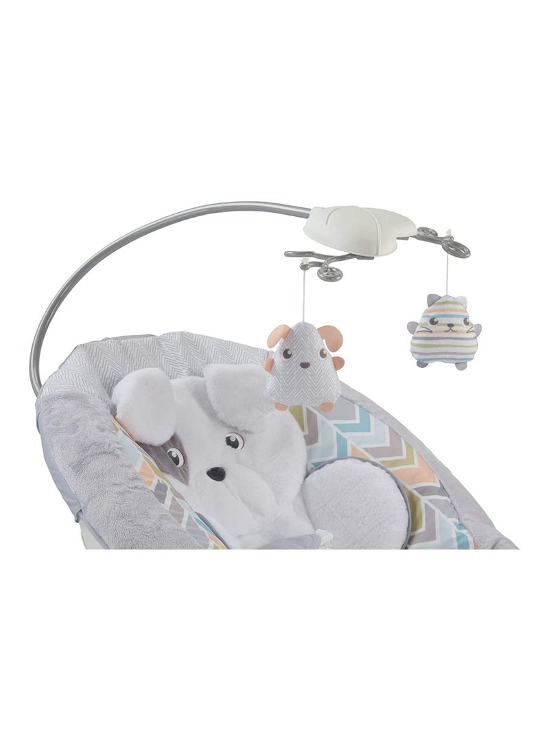 Sweet Snugapuppy Deluxe Bouncer GWD50