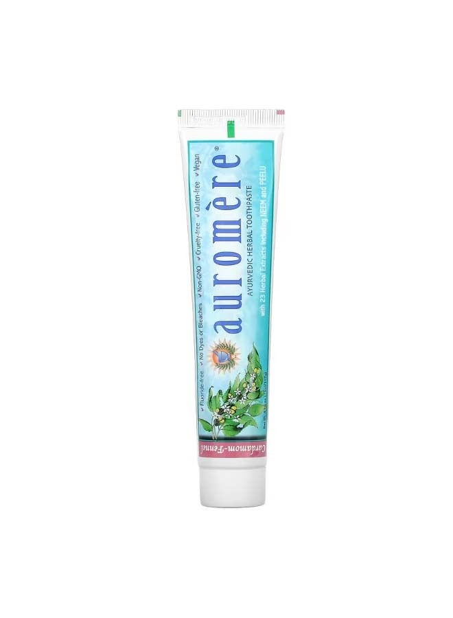 Ayurvedic Herbal Toothpaste Foam Free Cardamom Fennel 4.16 oz 117 g