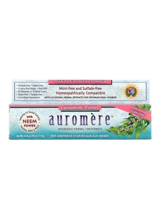 Ayurvedic Herbal Toothpaste Foam Free Cardamom Fennel 4.16 oz 117 g