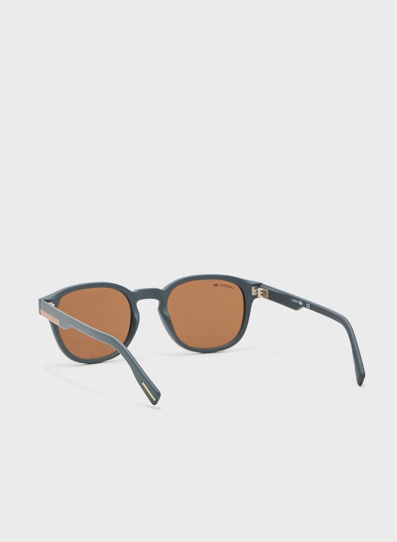 Oval Shape Sunglasses