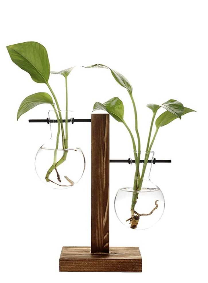 Terrarium hydroponic plant vases vintage flower pot transparent vase wooden frame glass tabletop