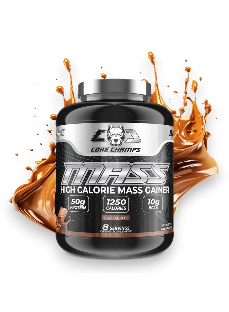 Mass Gainer, High Calorie Mass Gainer, Chocolate Flavour, 6 Lbs