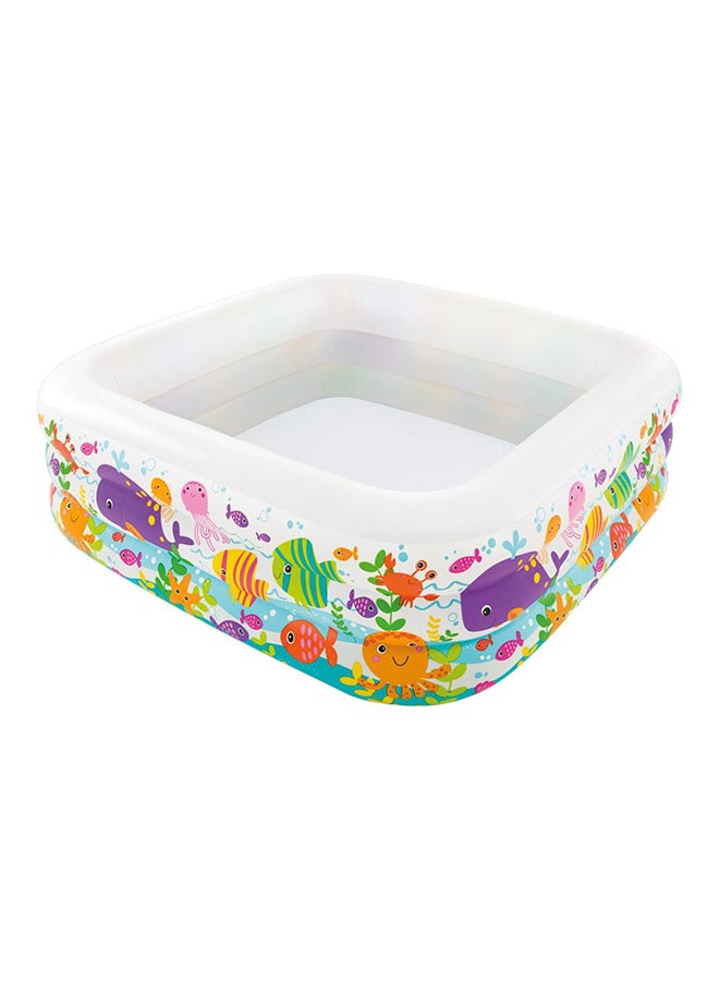 Clearview Aquarium Swim Pool 62.5x62.5x19.5inch 62.5x62.5x19.5inch