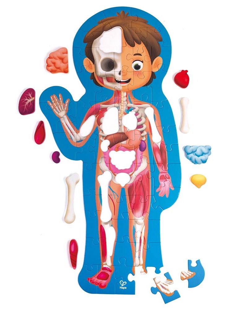 Hape Human Body Jigsaw Puzzle 60pcs with 10 pcs Wooden Body Parts