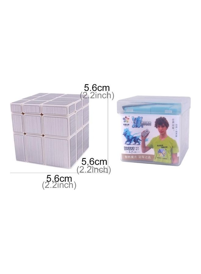 Zhisheng Ice Unicorn Brushed Mirror Brain Puzzle Magic Cube
