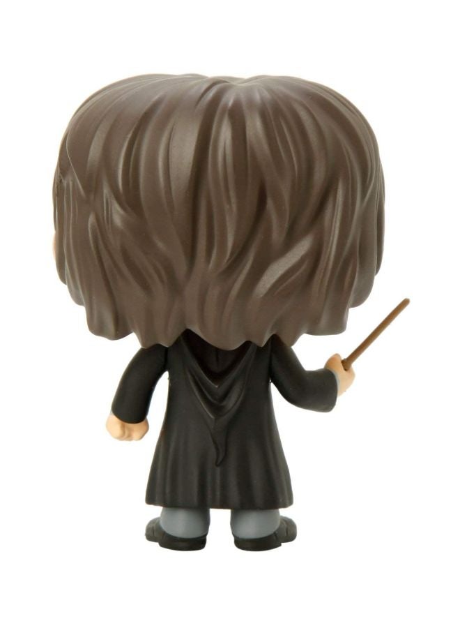 POP! Harry Potter Bobblehead H00005555 3.75inch