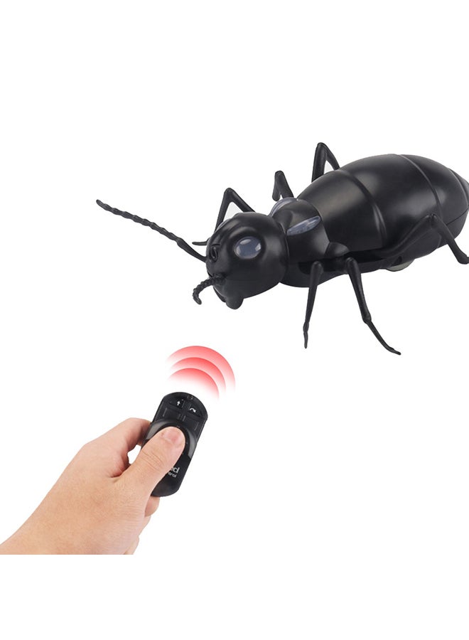 Remote Control Ant Toy