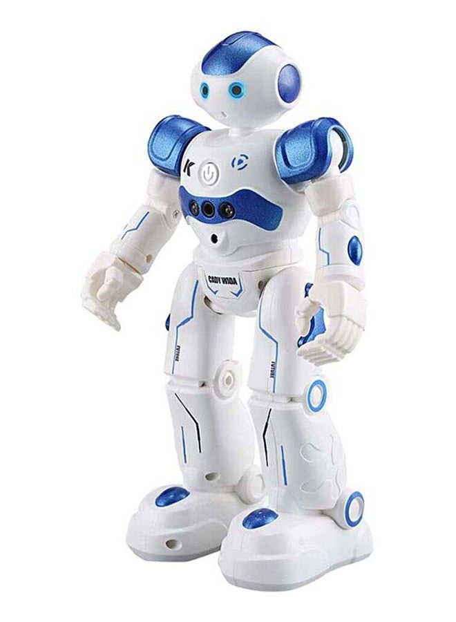 Intelligent Programming Gesture Control Robot RM8660BL