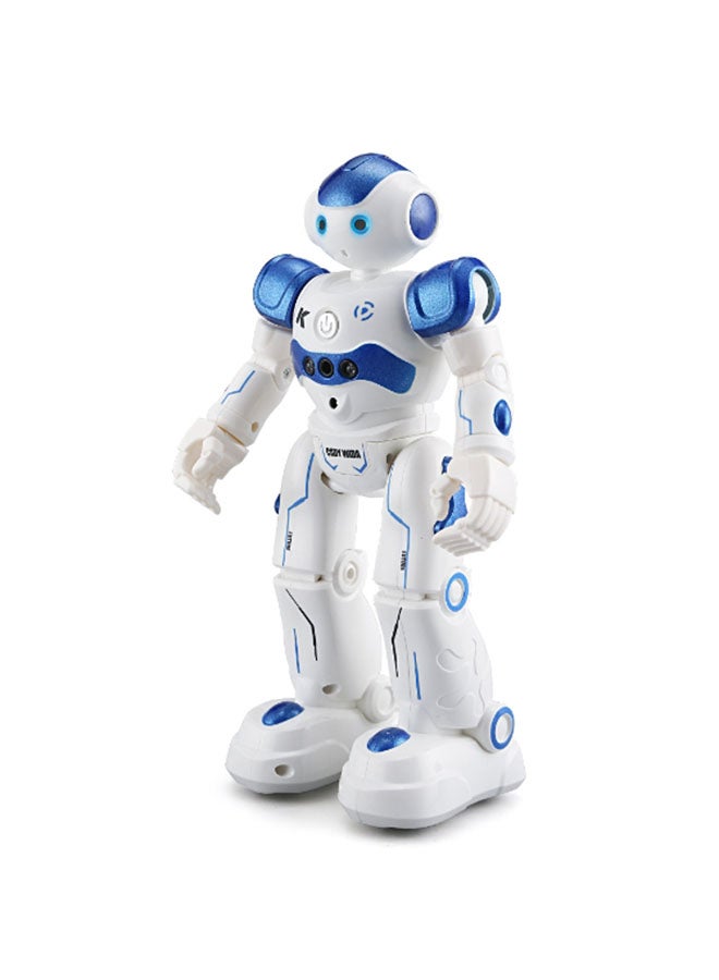 Intelligent Programming Gesture Control Robot RM8660BL