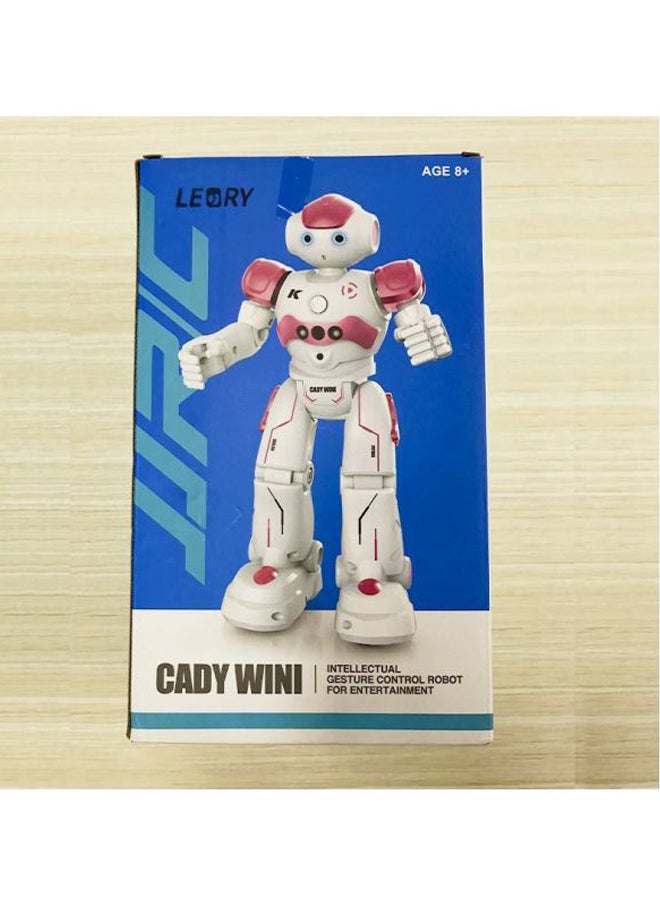 Cady Wini Robot 16 x 8 x 26.5cm