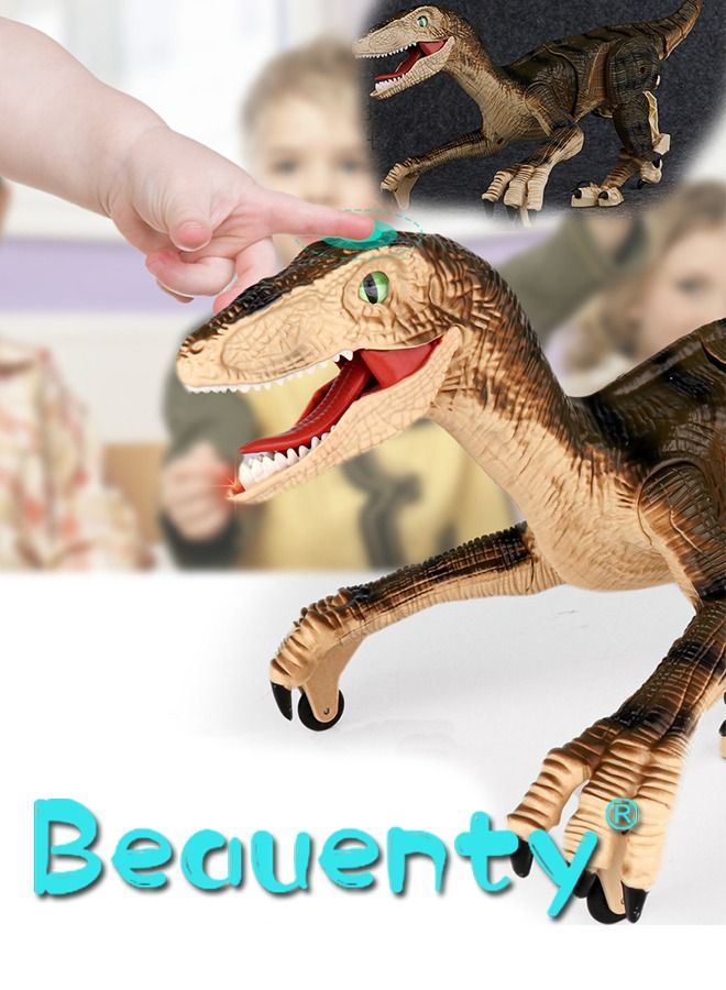 Walking Remote Sound And Light Dinosaur Toy