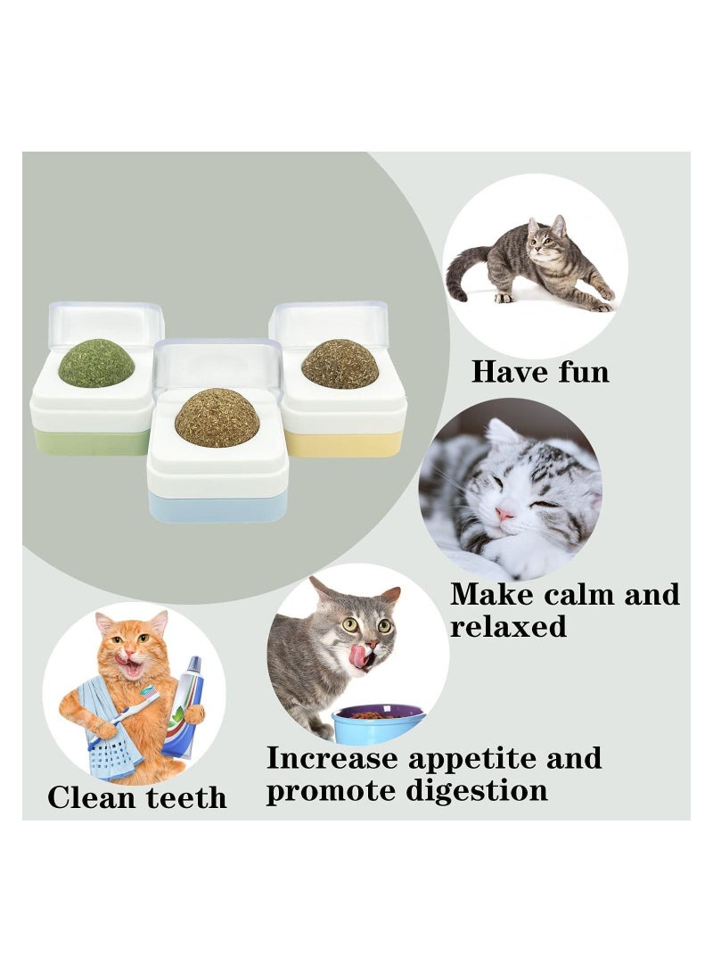 3 Pcs Catnip Toys, Removable Spin Self Healing Wall Balls, Silvervine Cat Licks an Edible Kitten Toy, Safe and Healthy Kitty Chew Teeth Cleaning Dental Ball Toy
