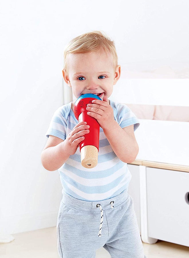 Mighty Echo Microphone Musical Instruments
