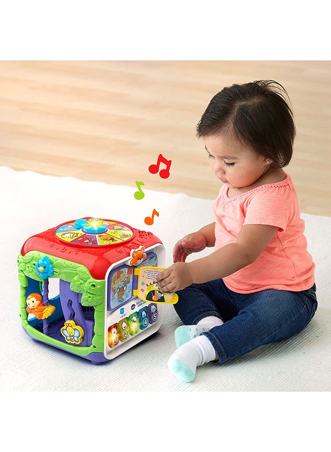 Sort And Discover Activity Cube