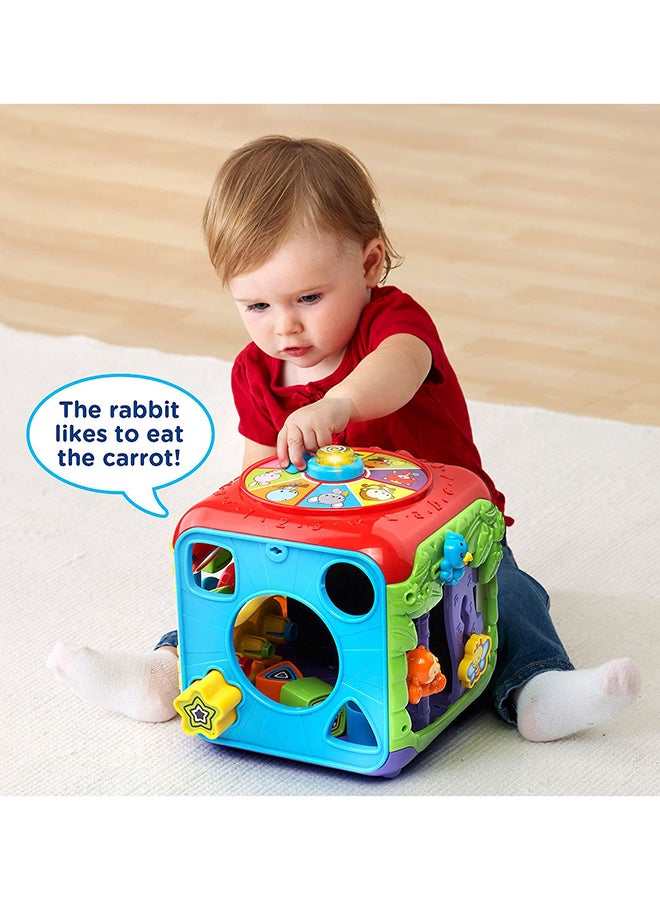 Sort And Discover Activity Cube