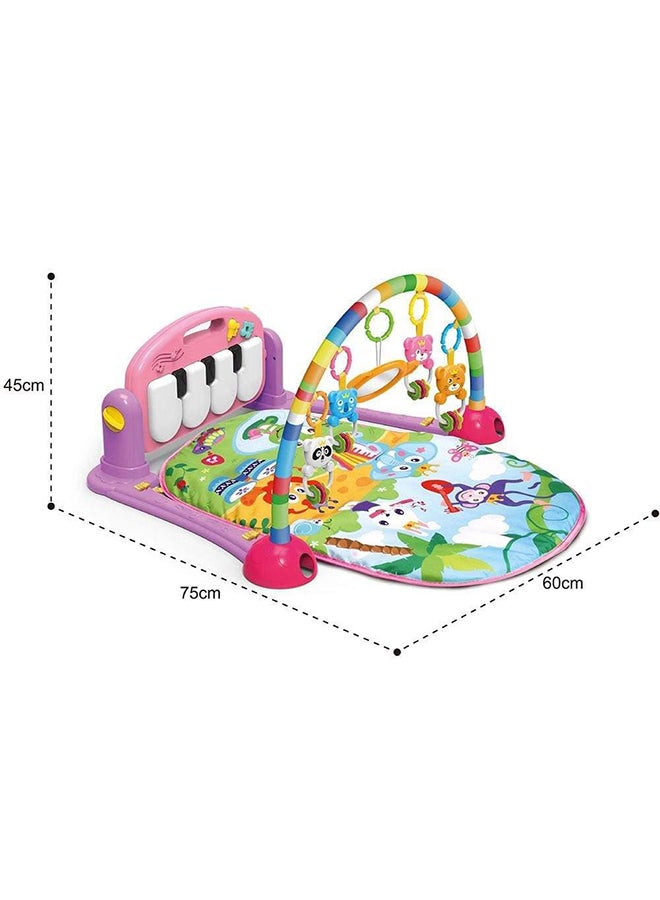 Piano Fitness Rack Baby Toys 75x60x45cm