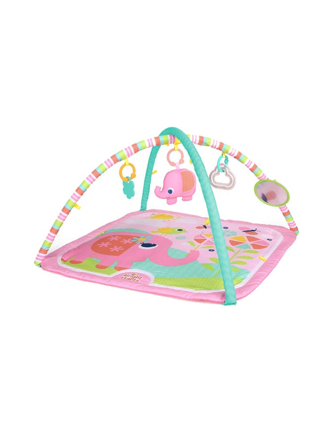 Fanciful Flowers Activity Gym 58.42x5.33x54.61cm