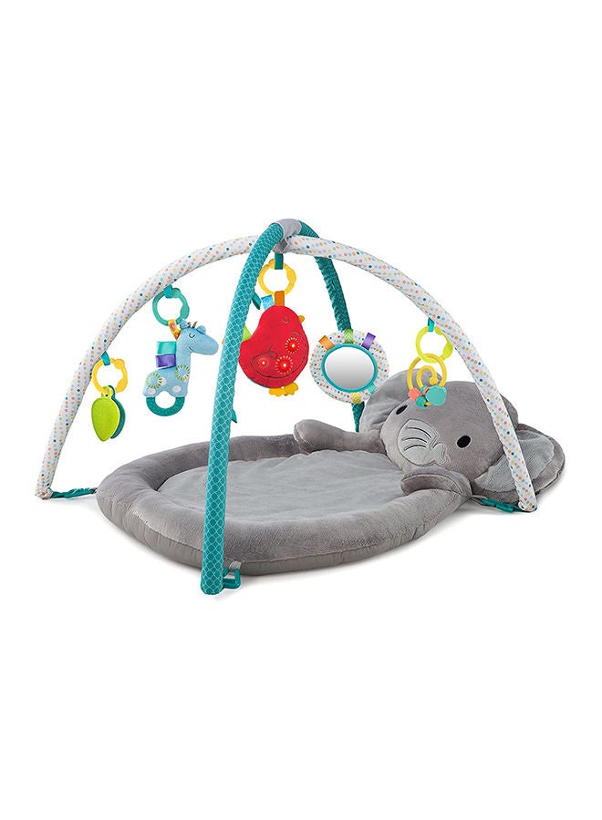 Enchanted Elephants Activity Gym