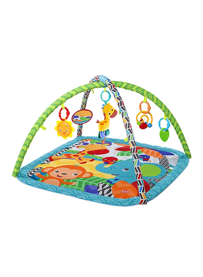 Zippy Zoo Activity Gym