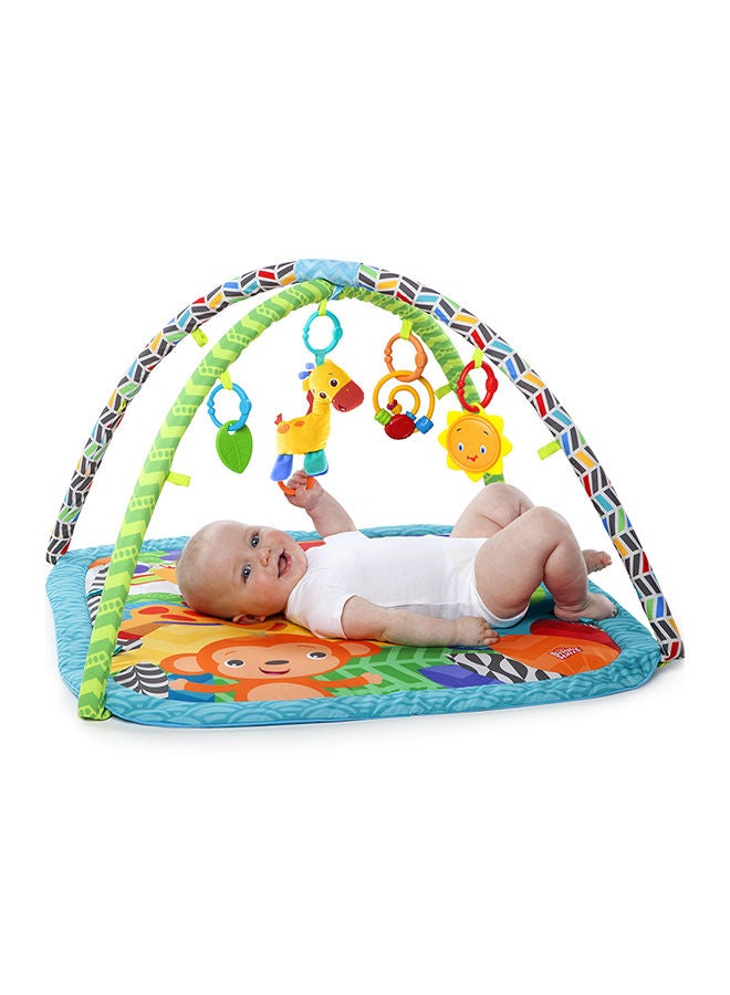 Zippy Zoo Activity Gym