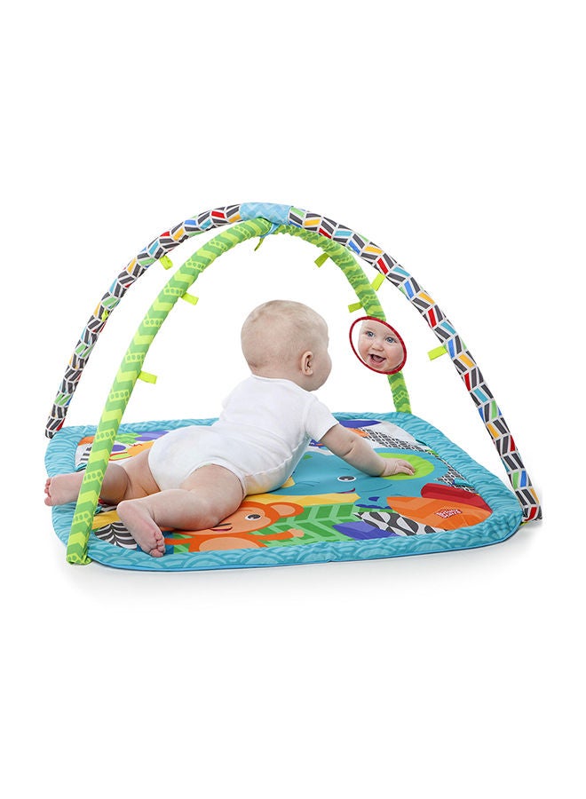 Zippy Zoo Activity Gym