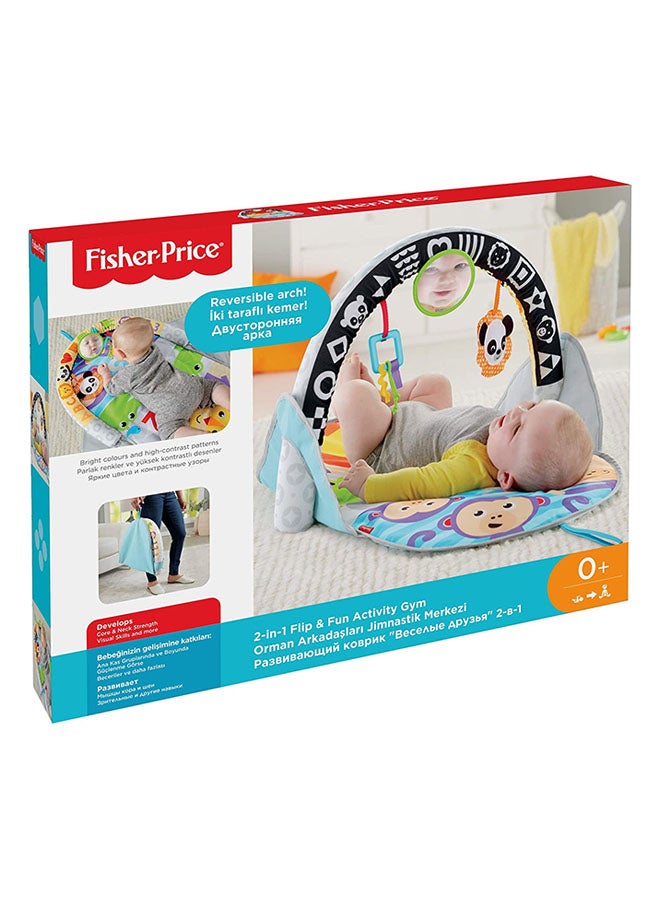 2-in-1 Flip And Fun Activity Gym Set