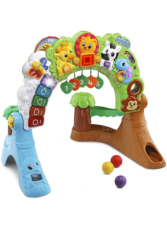 Safari Learning Station