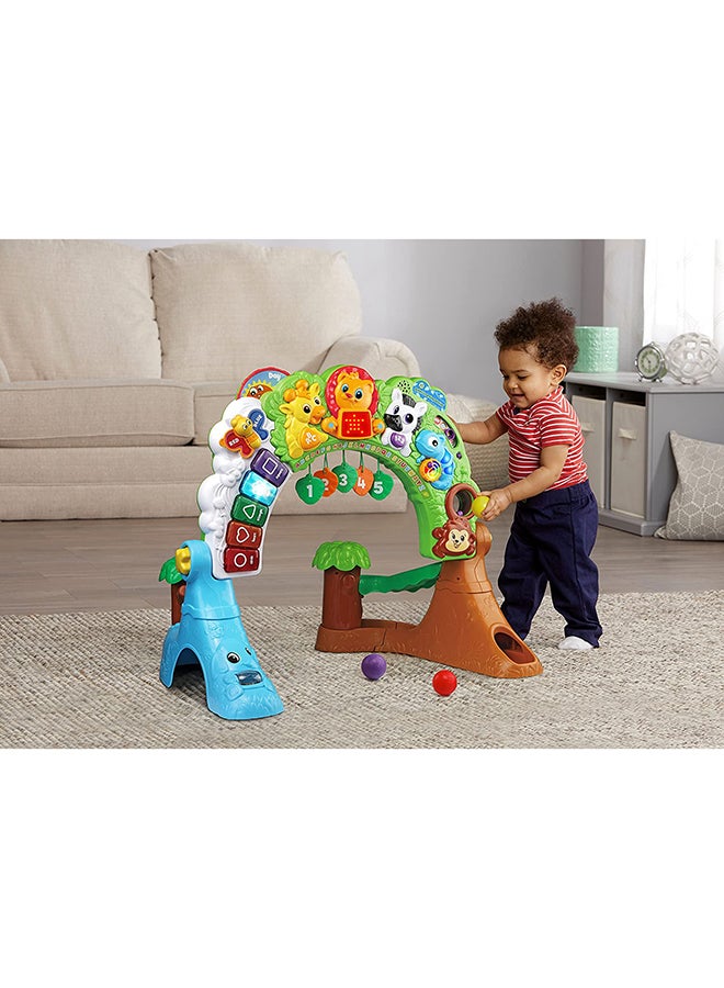 Safari Learning Station