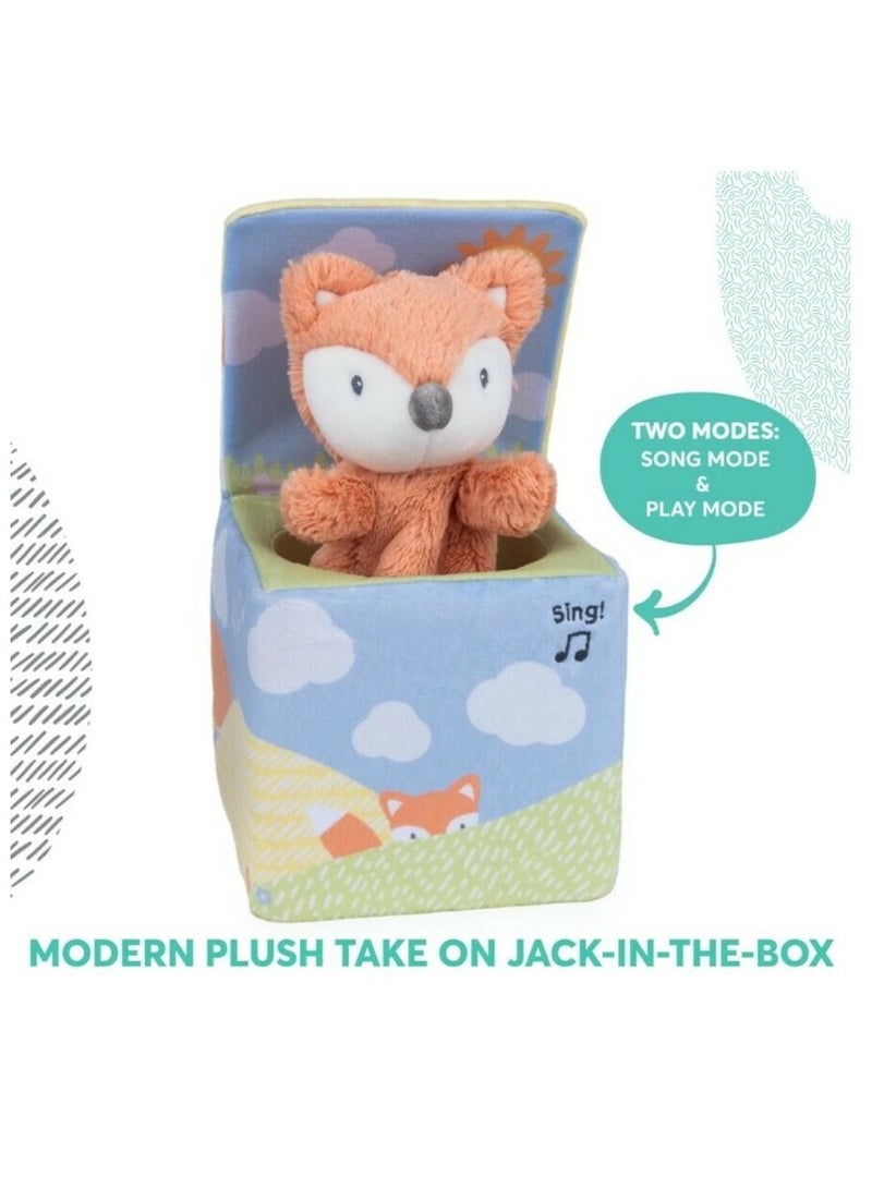 Lil Luvs Fox in a Box