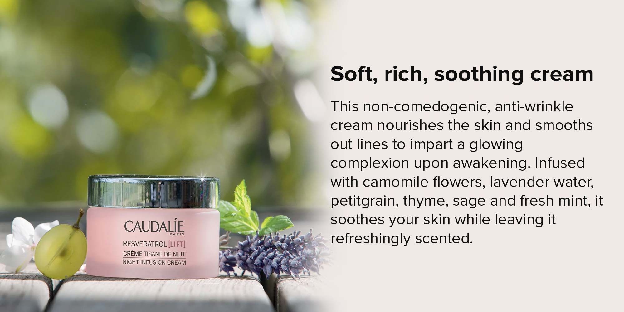 Resveratrol Lift Night Infusion Cream 50ml