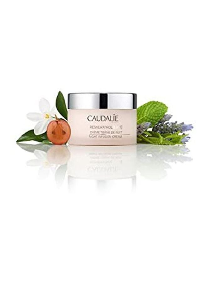 Resveratrol Lift Night Infusion Cream 50ml