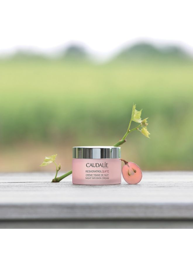 Resveratrol Lift Night Infusion Cream 50ml